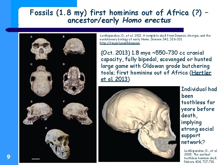 Fossils (1. 8 my) first hominins out of Africa (? ) – ancestor/early Homo