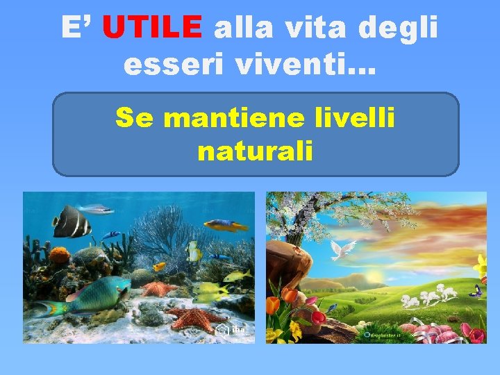 E’ UTILE alla vita degli esseri viventi… Se mantiene livelli naturali E’ UTILE alla vita degli esseri viventi… Se mantiene livelli naturali