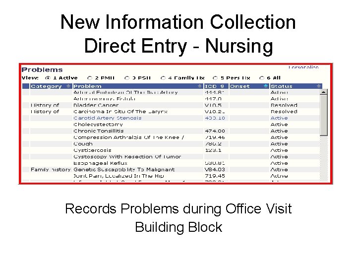 New Information Collection Direct Entry - Nursing Records Problems during Office Visit Building Block