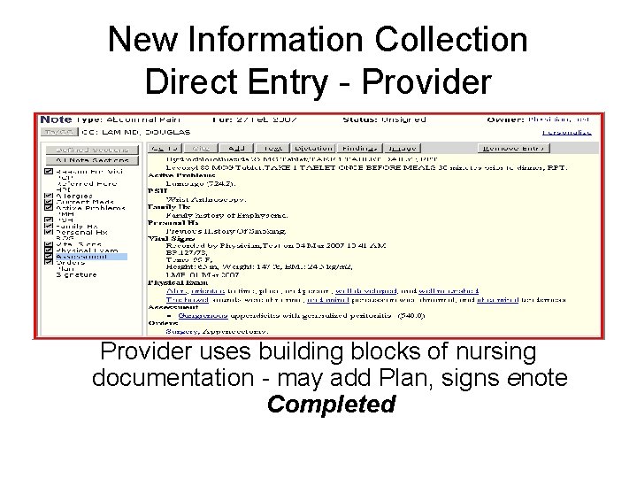 New Information Collection Direct Entry - Provider uses building blocks of nursing documentation -