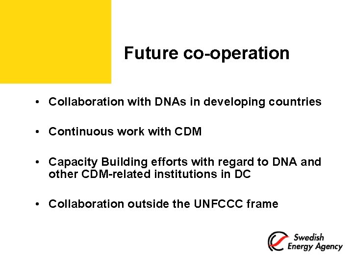 Future co-operation • Collaboration with DNAs in developing countries • Continuous work with CDM