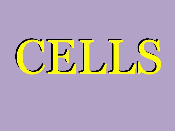 CELLS 