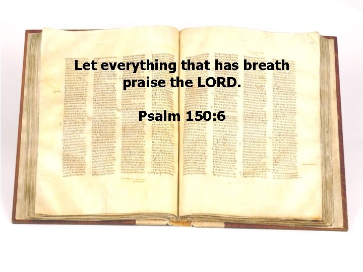 Let everything that has breath praise the LORD. Psalm 150: 6 Let everything that has breath praise the LORD. Psalm 150: 6