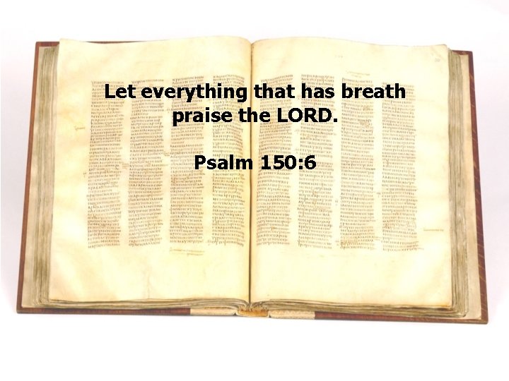 Let everything that has breath praise the LORD. Psalm 150: 6 