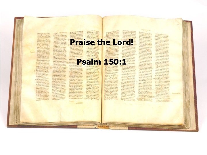 Praise the Lord! Psalm 150: 1 