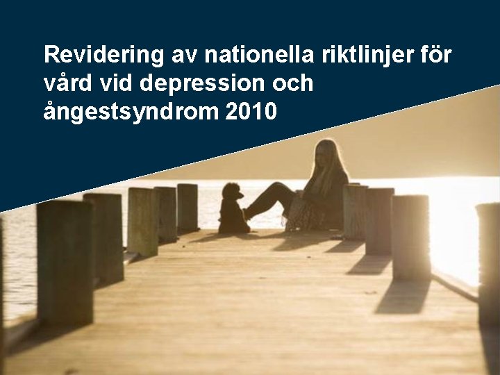 Revidering av nationella riktlinjer för vård vid depression och ångestsyndrom 2010 