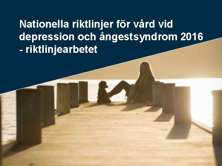 Nationella riktlinjer för vård vid depression och ångestsyndrom 2016 - riktlinjearbetet 