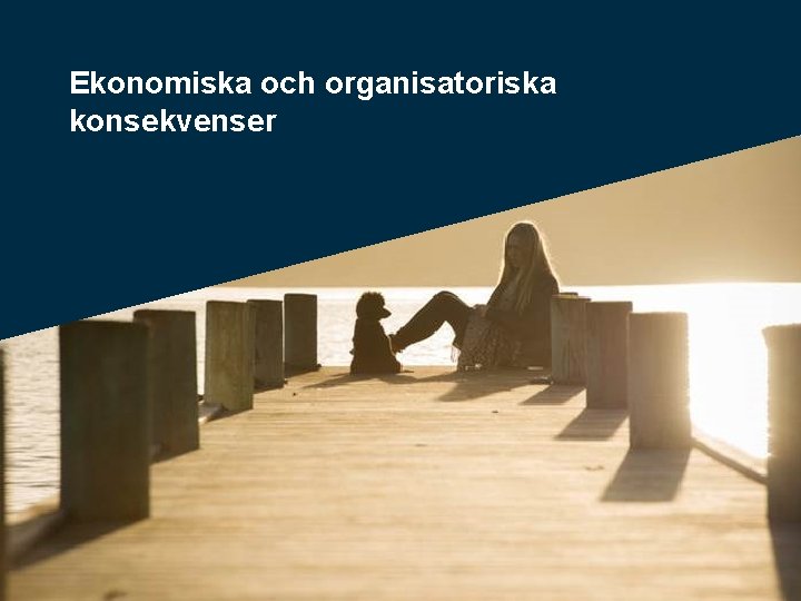 Ekonomiska och organisatoriska konsekvenser 