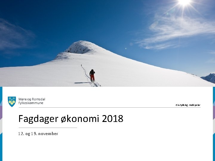 -Ein tydeleg medspelar Fagdager økonomi 2018 12. og 19. november 