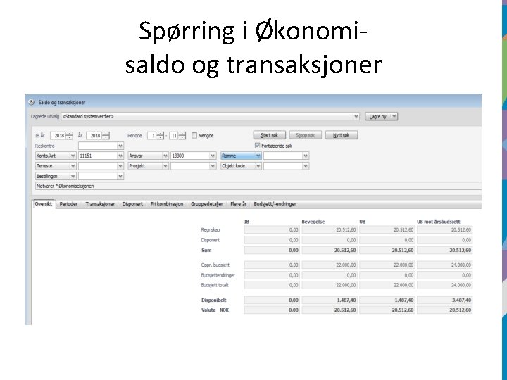 Spørring i Økonomisaldo og transaksjoner 