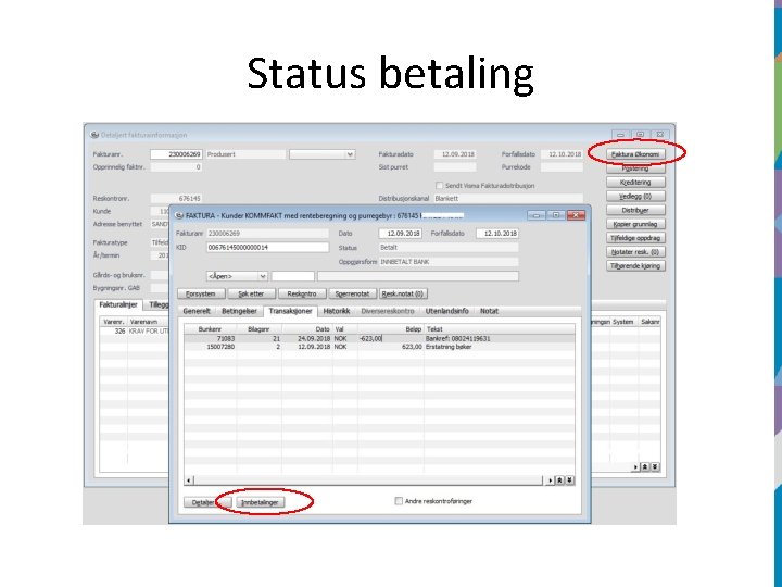 Status betaling 