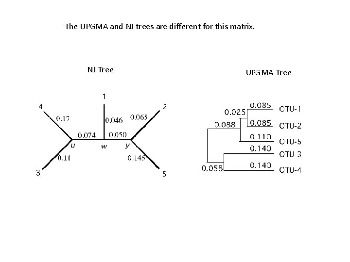 The UPGMA and NJ trees are different for this matrix. NJ Tree UPGMA Tree
