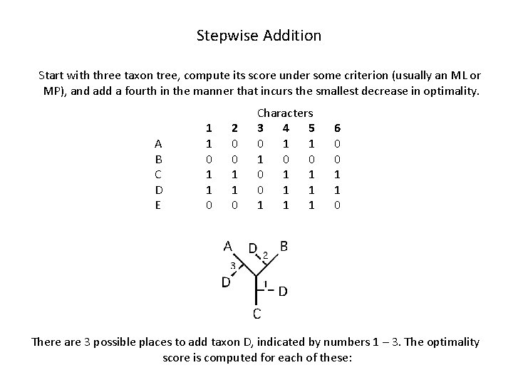 Stepwise Addition Start with three taxon tree, compute its score under some criterion (usually