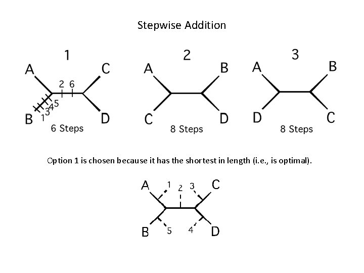 Stepwise Addition Option 1 is chosen because it has the shortest in length (i.