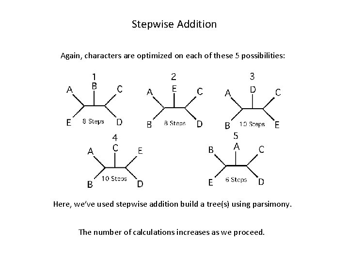 Stepwise Addition Again, characters are optimized on each of these 5 possibilities: Here, we’ve