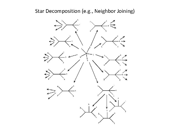 Star Decomposition (e. g. , Neighbor Joining) 