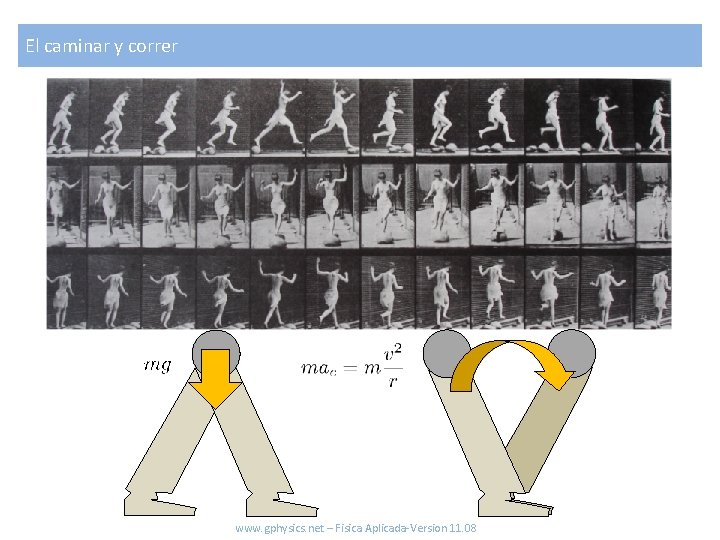 El caminar y correr www. gphysics. net – Fisica Aplicada-Version 11. 08 