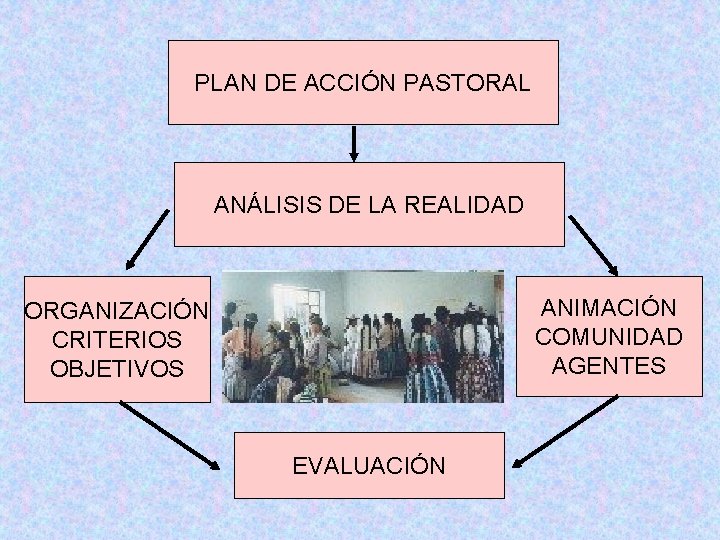 PLAN DE ACCIÓN PASTORAL ANÁLISIS DE LA REALIDAD ANIMACIÓN COMUNIDAD AGENTES ORGANIZACIÓN CRITERIOS OBJETIVOS