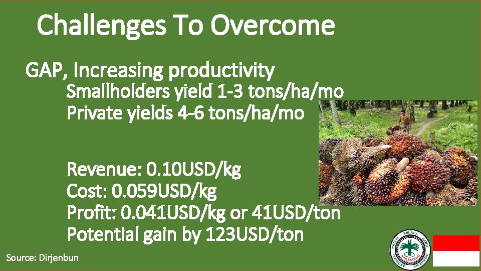 Challenges To Overcome GAP, Increasing productivity Smallholders yield 1 -3 tons/ha/mo Private yields 4
