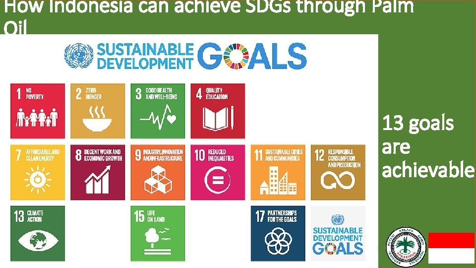 How Indonesia can achieve SDGs through Palm Oil 13 goals are achievable 