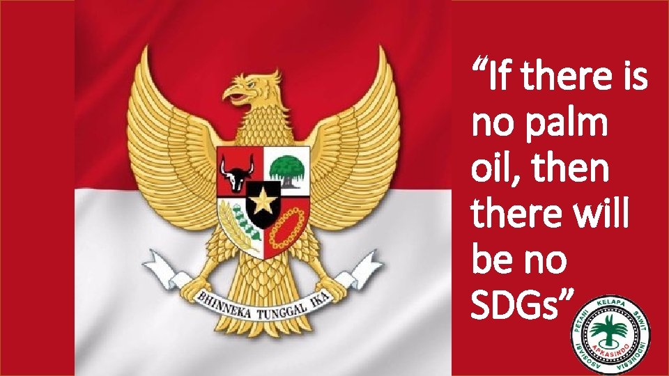 “If there is no palm oil, then there will be no SDGs” 