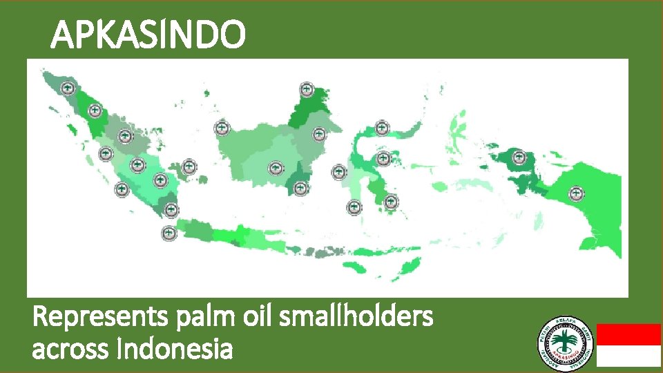 APKASINDO Represents palm oil smallholders across Indonesia 