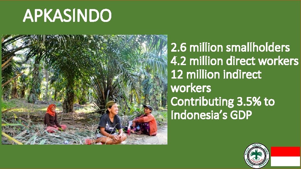 APKASINDO 2. 6 million smallholders 4. 2 million direct workers 12 million indirect workers