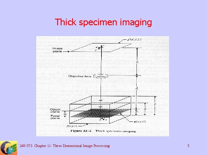 Thick specimen imaging 240 -373: Chapter 11: Three Dimensional Image Processing 5 