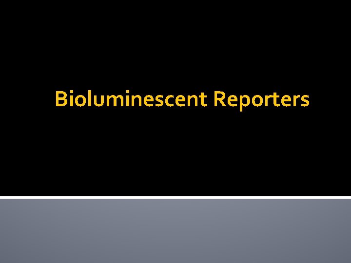 Bioluminescent Reporters 