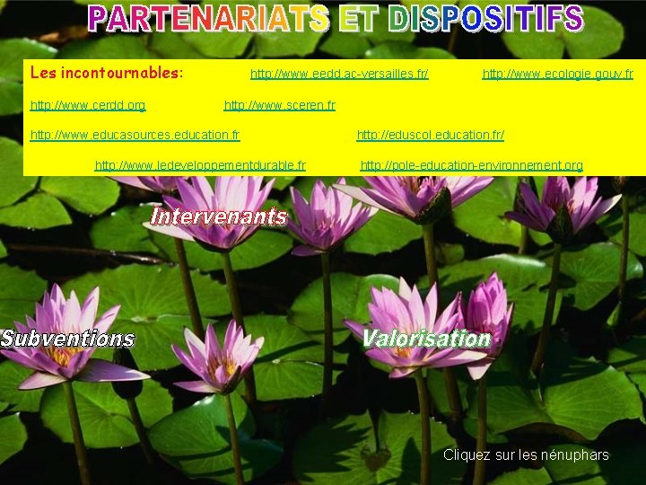 Les incontournables: http: //www. cerdd. org http: //www. eedd. ac-versailles. fr/ http: //www. ecologie.