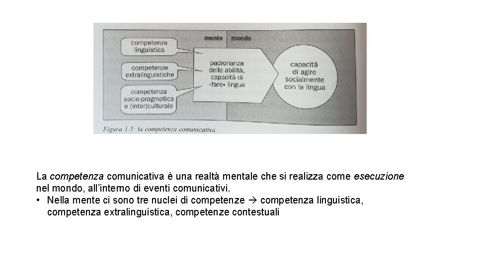 La competenza comunicativa è una realtà mentale che si realizza come esecuzione nel mondo,