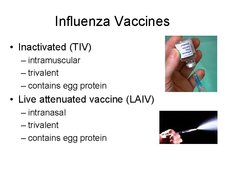 Influenza Vaccines • Inactivated (TIV) – intramuscular – trivalent – contains egg protein •