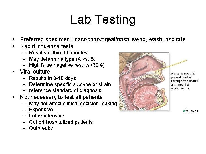 Lab Testing • Preferred specimen: nasopharyngeal/nasal swab, wash, aspirate • Rapid influenza tests –