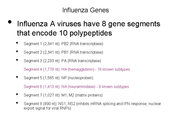 Influenza Genes • Influenza A viruses have 8 gene segments that encode 10 polypeptides