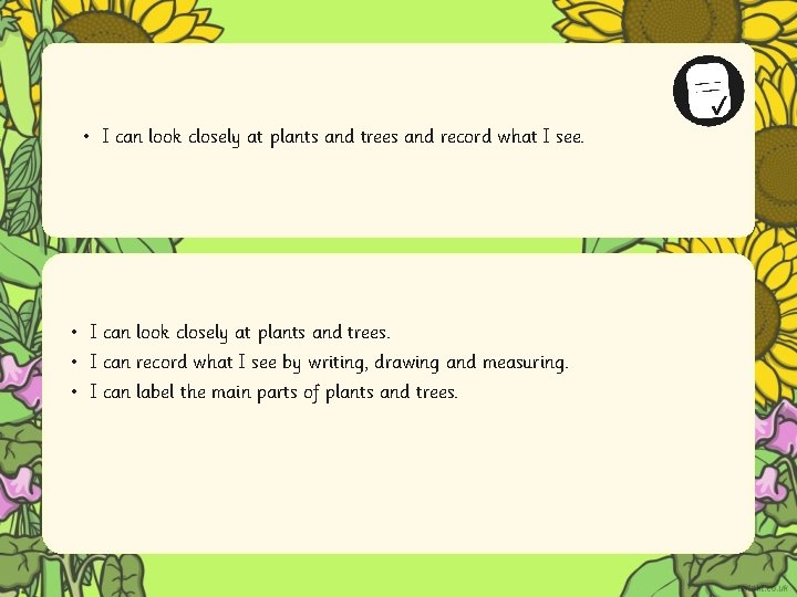 • I can look closely at plants and trees and record what I • I can look closely at plants and trees and record what I