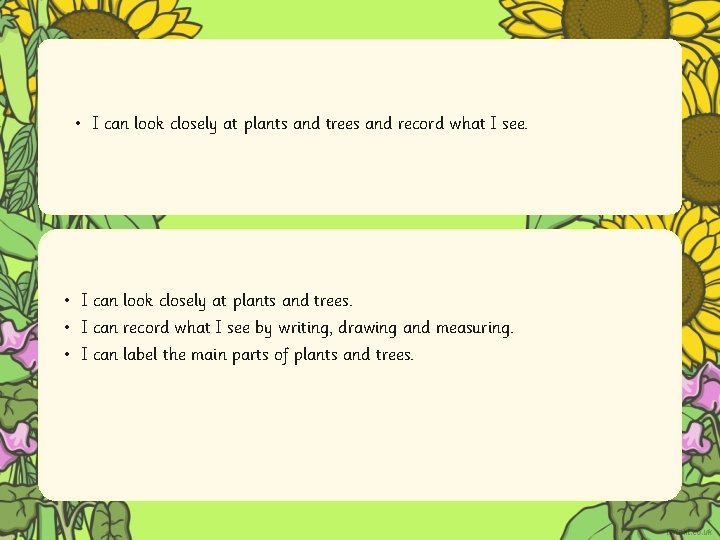 • I can look closely at plants and trees and record what I • I can look closely at plants and trees and record what I
