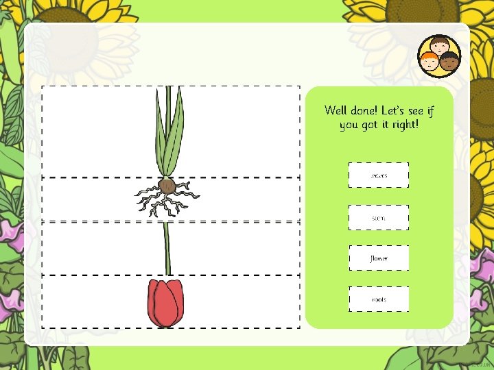 Well done! Let’s see if you got it right! Well done! Let’s see if you got it right!