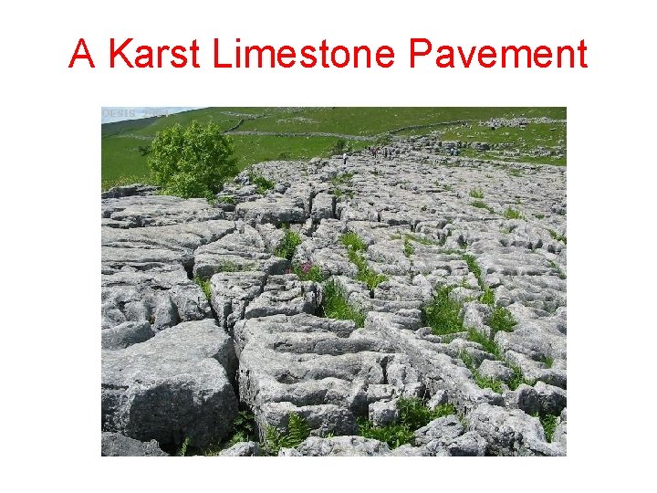 A Karst Limestone Pavement 