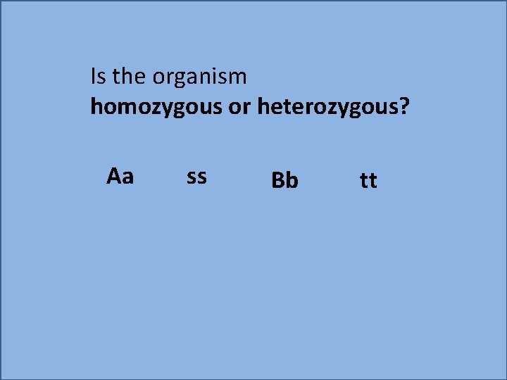 Is the organism homozygous or heterozygous? Aa ss Bb tt 