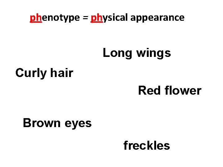 phenotype = physical appearance ph ph Long wings Curly hair Red flower Brown eyes