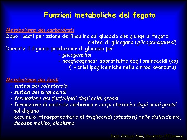 Funzioni metaboliche del fegato Metabolismo dei carboidrati Dopo i pasti per azione dell’insulina sul