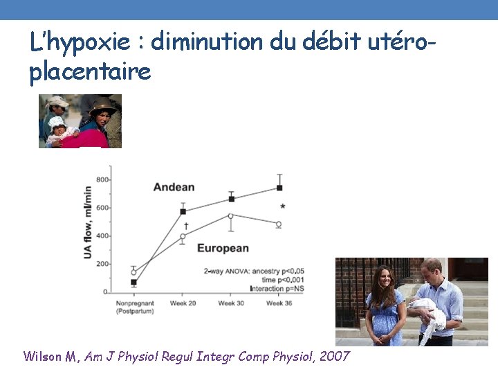 L’hypoxie : diminution du débit utéroplacentaire Wilson M, Am J Physiol Regul Integr Comp