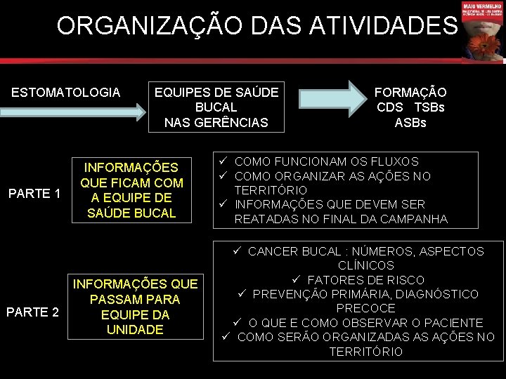 ORGANIZAÇÃO DAS ATIVIDADES ESTOMATOLOGIA PARTE 1 PARTE 2 EQUIPES DE SAÚDE BUCAL NAS GERÊNCIAS