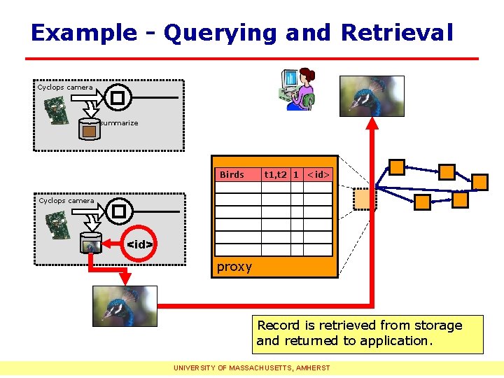 Example - Querying and Retrieval Cyclops camera summarize Birds Cyclops camera t 1, t