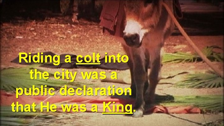 Riding a colt into the city was a public declaration that He was a