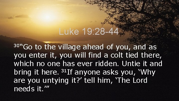 Luke 19: 28 -44 30“Go to the village ahead of you, and as you
