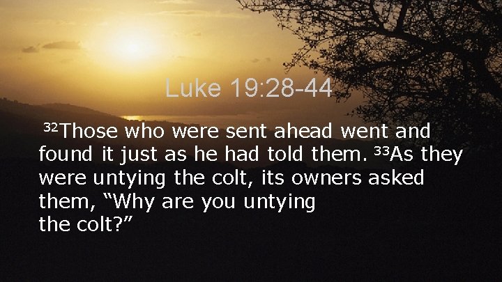 Luke 19: 28 -44 32 Those who were sent ahead went and found it
