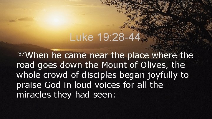 Luke 19: 28 -44 37 When he came near the place where the road