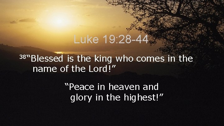 Luke 19: 28 -44 38“Blessed is the king who comes in the name of