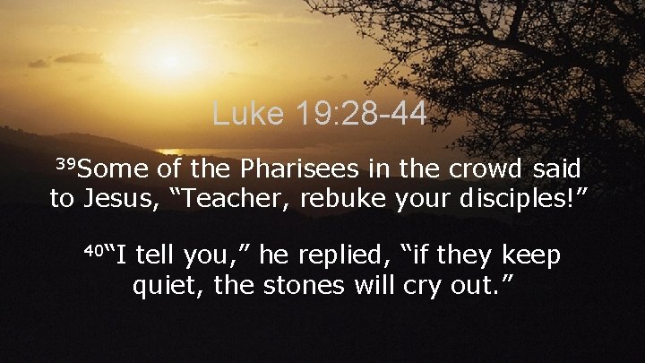 Luke 19: 28 -44 39 Some of the Pharisees in the crowd said to